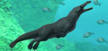 Paleontologlar, Peru’da 43 milyon yıl öncesine ait dört bacaklı 4 metre boyunda balina fosili keşfetti
