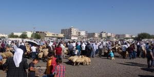Viranşehir Belediyesinden korona virüs tedbirleri