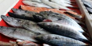 Akçakoca ilçesinde balık fiyatlarında düşüş yaşandı