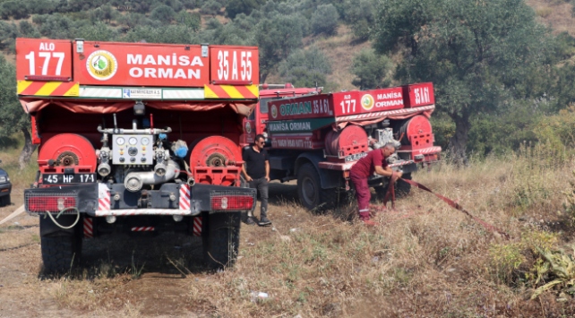 Manisa’da Spil Dağı eteklerinde ormanlık alanda Yangın