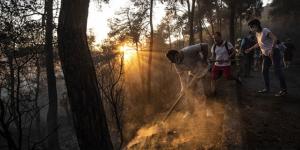 Heybeliada’daki orman yangınıyla ilgili 1 şüpheli tutuklandı