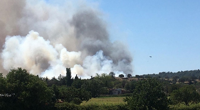 Çanakkale’de 5 farklı noktada Yangın
