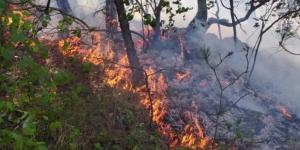 Samsun’un Bafra ilçesinde  yangın Çıktı
