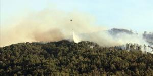 Bakan Pakdemirli, yangının Aydın kısmının kontrol altına alındığını açıkladı