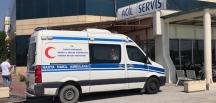 Kastamonu’da arı sokmasından bir kişi hayatını kaybetti