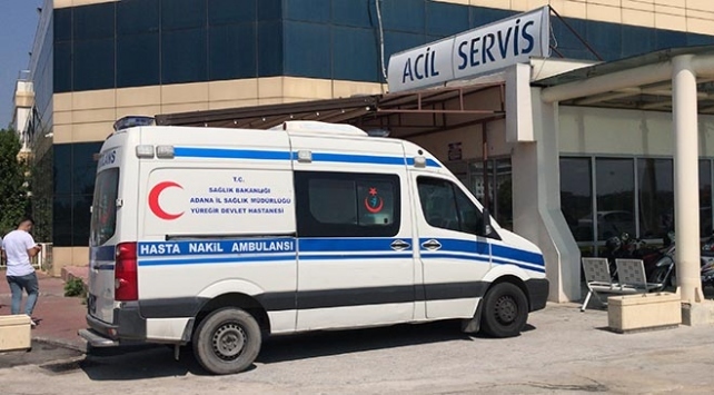 Kastamonu’da arı sokmasından bir kişi hayatını kaybetti