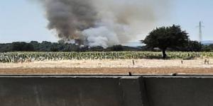 Çanakkale’de orman yangını