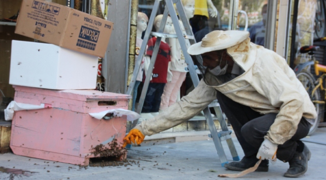 Hakkari’de arı istilası esnafa kepenk kapattırdı