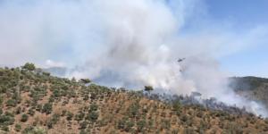 Muğla’da ormanlık alanda yangın
