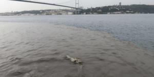 Yağış sonrası İstanbul Boğazı’nın rengi değişti