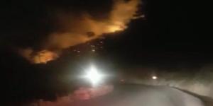 İzmir’de çıkan orman yangını kontrol altında