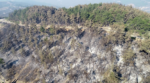 Adana’da soğutma çalışmaları sürüyor