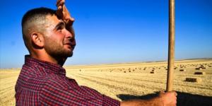 Doğu Anadolu’da sıcaklıklar artacak