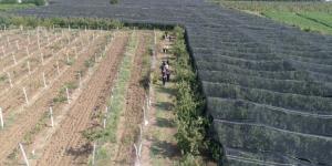 Bursa’da drone destekli uyuşturucu operasyonu