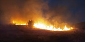 Ankara’da orman yangını