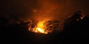 Antalya’daki orman yangını kontrol altına alındı