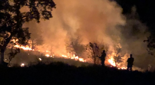 Aydın’da dün çıkan orman yangını kontrol altına alındı