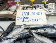 Palamut fiyatlarında ‘rüzgar’ artışı