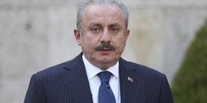 Formula 1 şampiyonuna kupayı TBMM Başkanı Şentop verecek