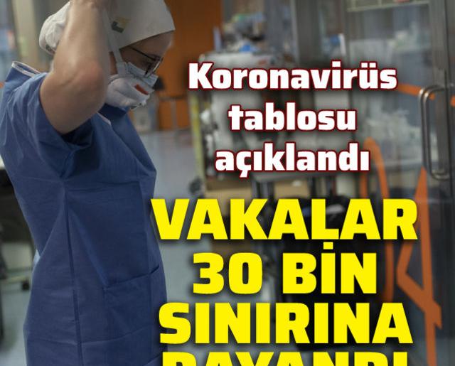 Koronavirüs salgınında yeni vaka sayısı 29 bin 81