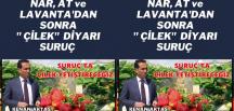 Suruç Çilek Diyarı Olacak…