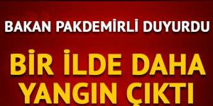 Bir ilde daha yangın çıktı