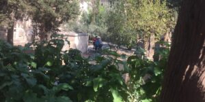 Urfa’da Tarihi Cami Mezarlığında Uyuşturucu Madde Ticareti
