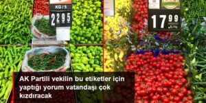 AK Partili milletvekili, 1 kilo domatesin 22.95 TL’ye satılmasını normal karşıladı