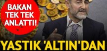 Bakan Nebati tek tek anlattı