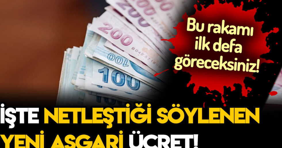 Bakanlık çok konuşulan o anketin sonuçlarını açıkladı