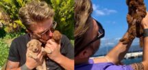 Ünlülerin köpek eğitmeni; Mert Hakan Kimdir?