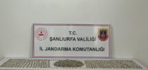 Şanlıurfa’da 4 Bin 855 Tarihi Obje Ele Geçirildi: 3 Gözaltı