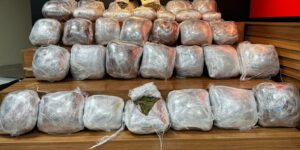 Şanlıurfa’da büyük uyuşturucu operasyonu 50 gözaltı