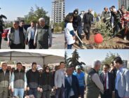 Şanlıurfa Orman Bölge Müdürlüğü Şanlıurfa’da ağaçlandırmaya önem veriyor