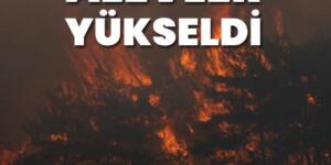 Edirne, İzmir, Bursa ve Balıkesir’de orman yangını